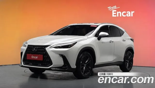 Lexus NX 2025, 11 249 км — фото