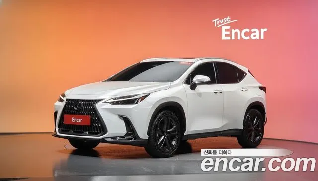 Lexus NX 2024, 10 624 км — фото