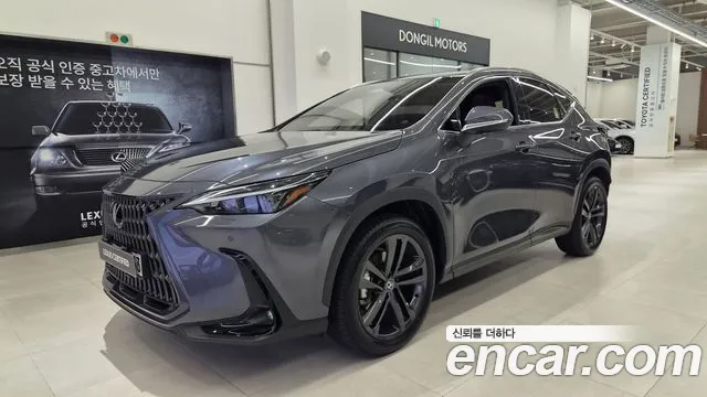 Lexus NX 2025, 8 529 км — фото