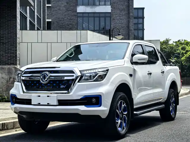 Dongfeng Rich 6 EV 2023, 36 000 км — фото