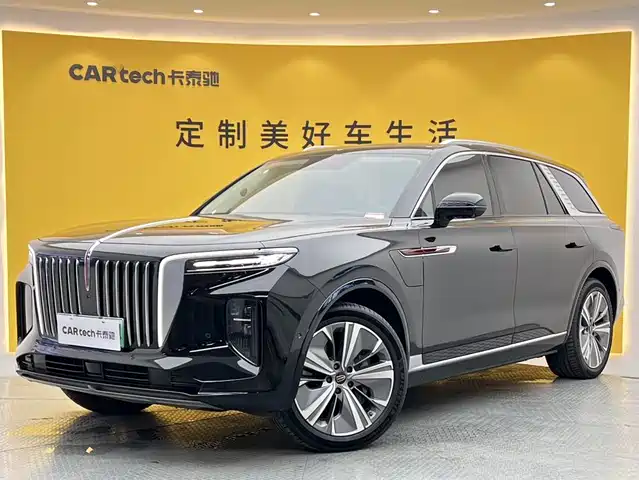 Hongqi E-HS9 2023, 19 000 км — фото