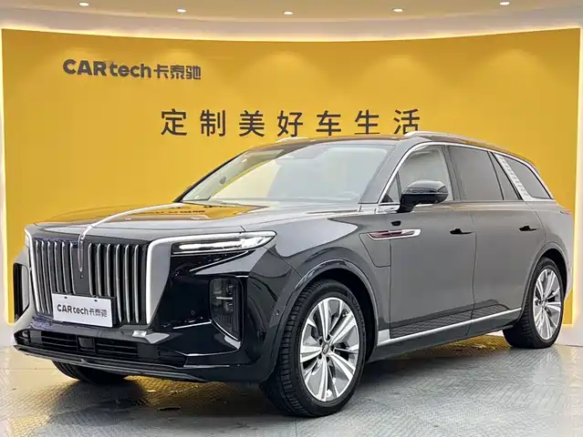 Hongqi E-HS9 2023, 23 000 км — фото