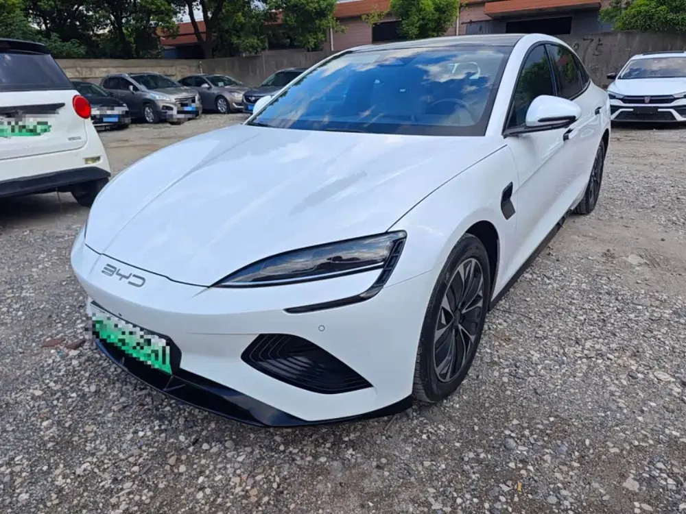 BYD Seal 2022, 50 000 км — фото