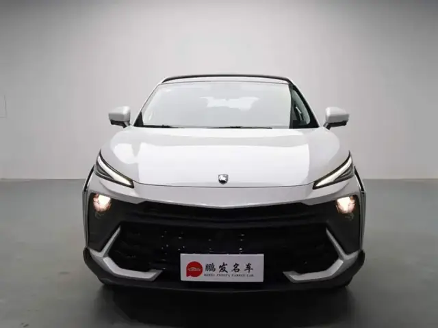 Dongfeng Forthing T5 EVO 2024 — фото 3