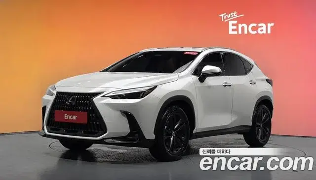 Lexus NX 2025 — фото 2