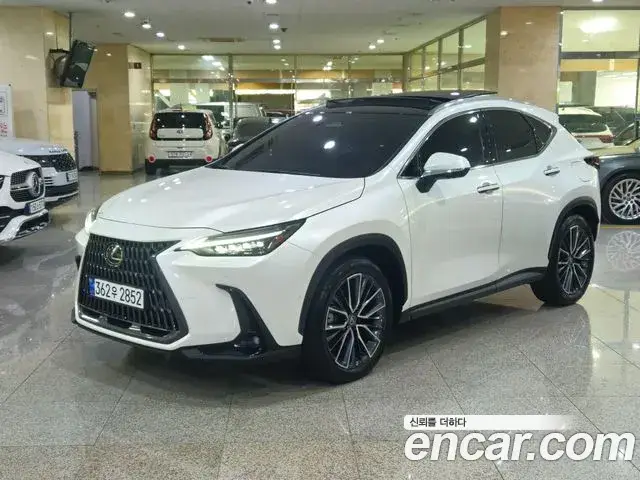 Lexus NX 2024 — фото 2