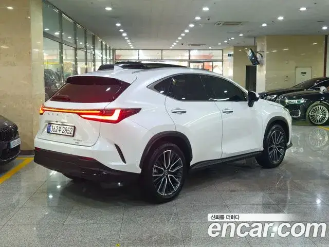 Lexus NX 2024 — фото 4
