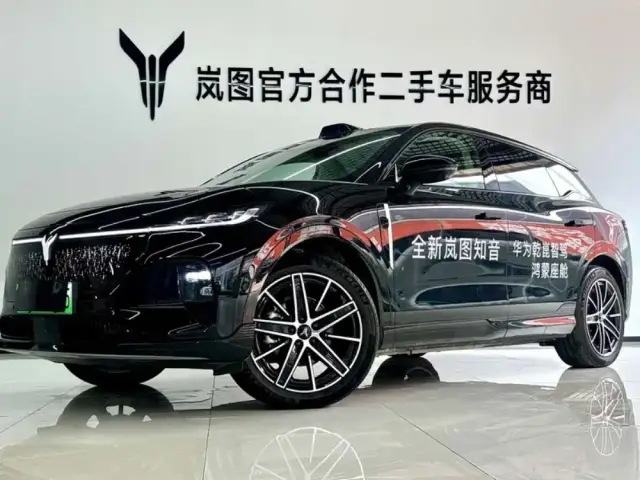 Voyah Zhiyin 2025