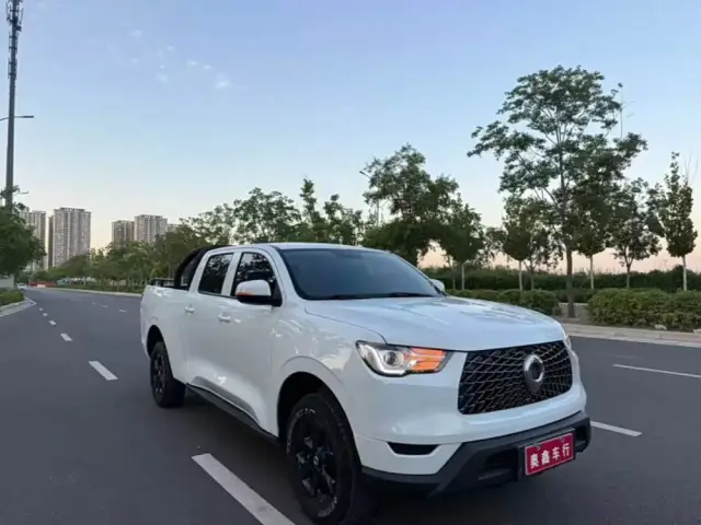Great Wall Poer 2022