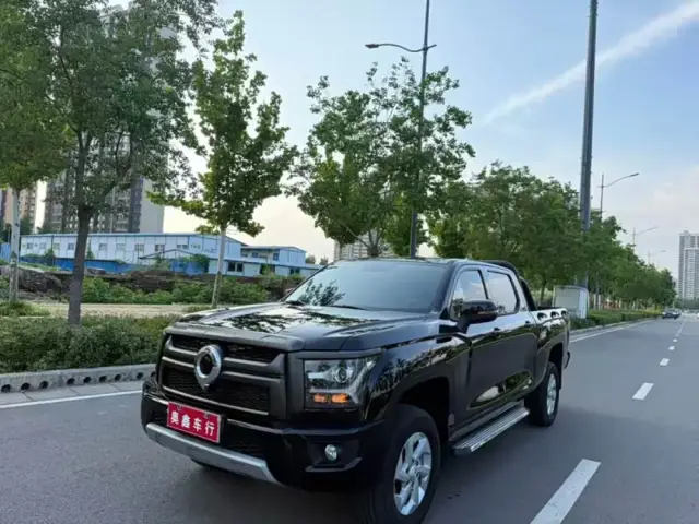 Great Wall Poer King Kong 2026
