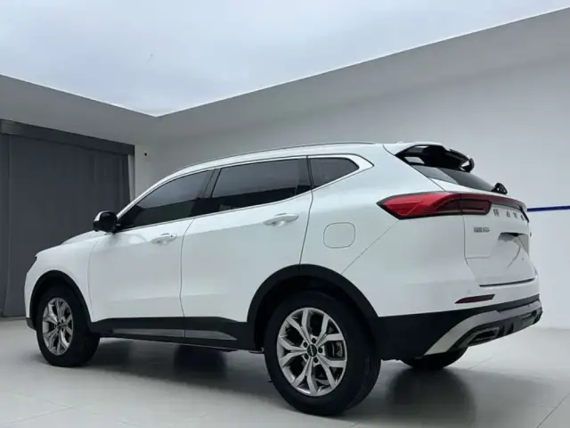 Haval H6 2023 — фото 4