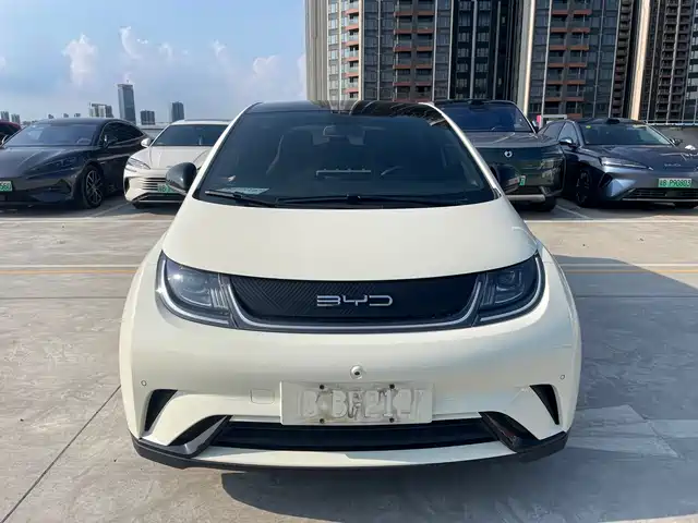 BYD Dolphin 2023